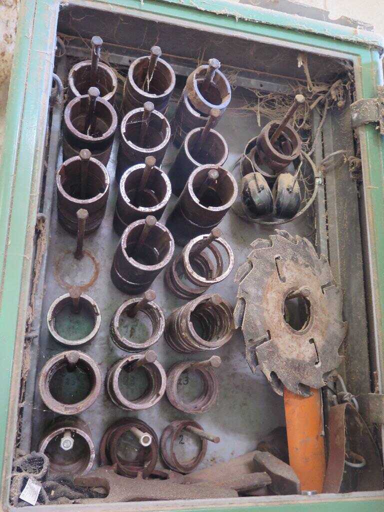 Raimann Vielblattsäge / Doppelwellen-Vielblattsäge - gebraucht KD (5)